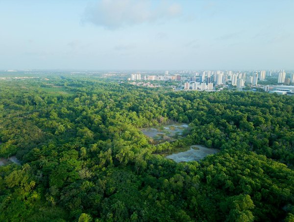 Où les musulmans prient-ils ?